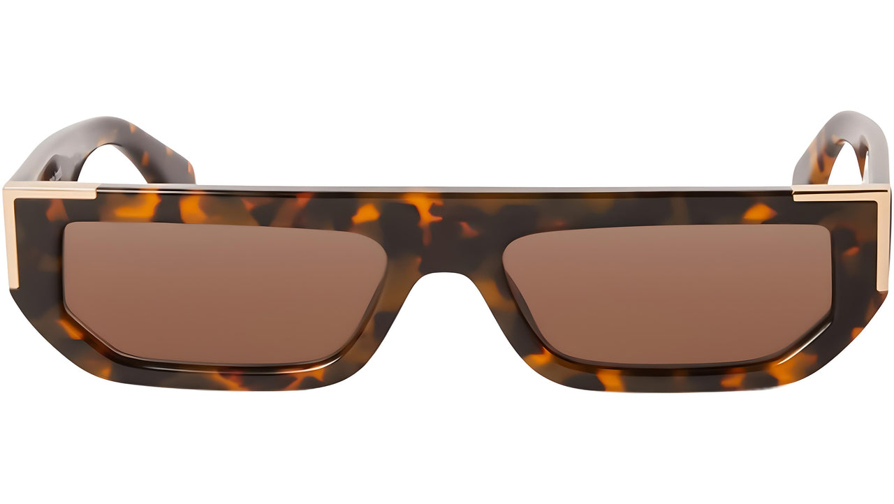 Golden Havana Brown