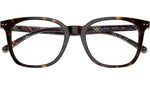PH2256 5003 Dark Havana