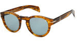 DB 7041/S Brown Horn Green