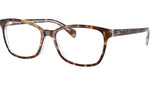 RB5362 Optics 5082