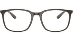 RB7199 Optics 8063