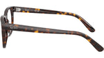 RB5461D Optics 2012