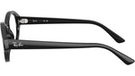 RB7257 Optics 8260