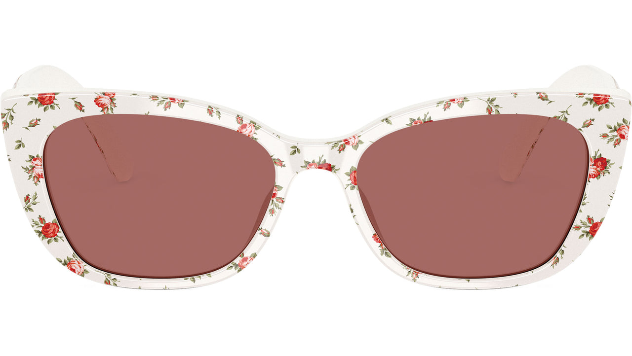 8056262883679_1.jpg
