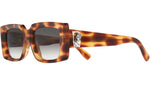 Mini Reaper 001 06 Leopard