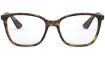 RB7066 shiny havana
