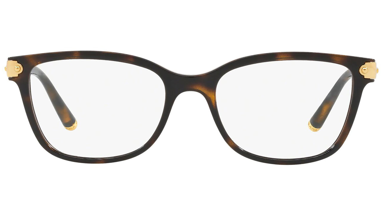 DG 5036 502 tortoise