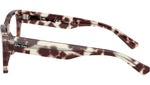 8056262561706_3.jpg