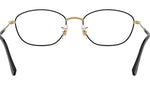 RB3749V Optics 3175