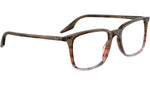 RB5421 Optics 8251