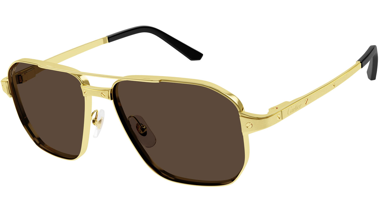 CT0424S 003 Gold Brown