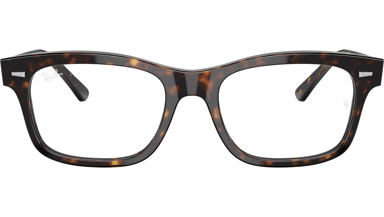 Mr Burbank Optics RB5383 2012