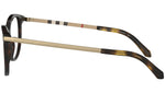 BE2280 3002 Tortoise
