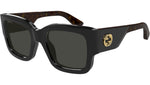 GG1663S 001