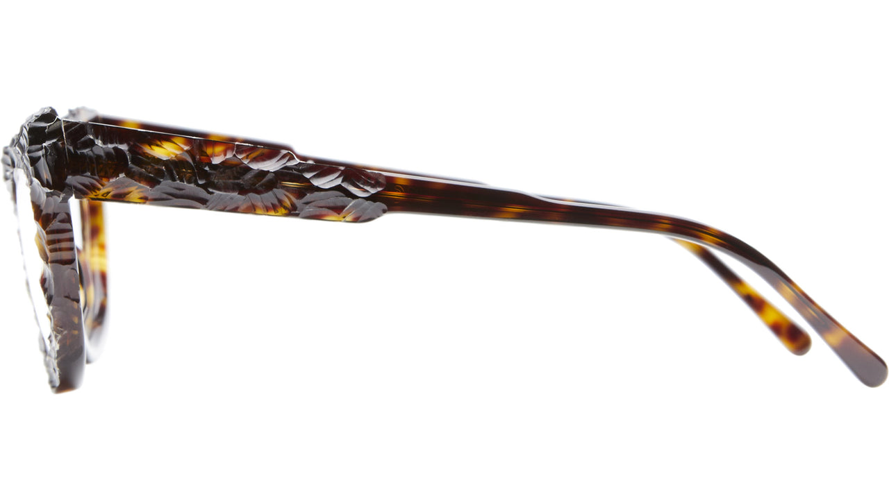 K39 TS RH Rhizome