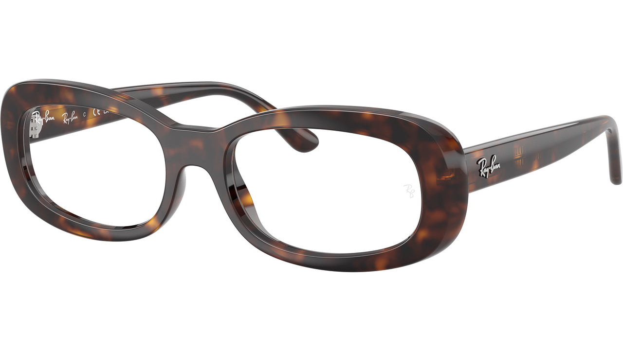 RB2221V Optics 2012