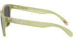 Frogskins OO9013 M2