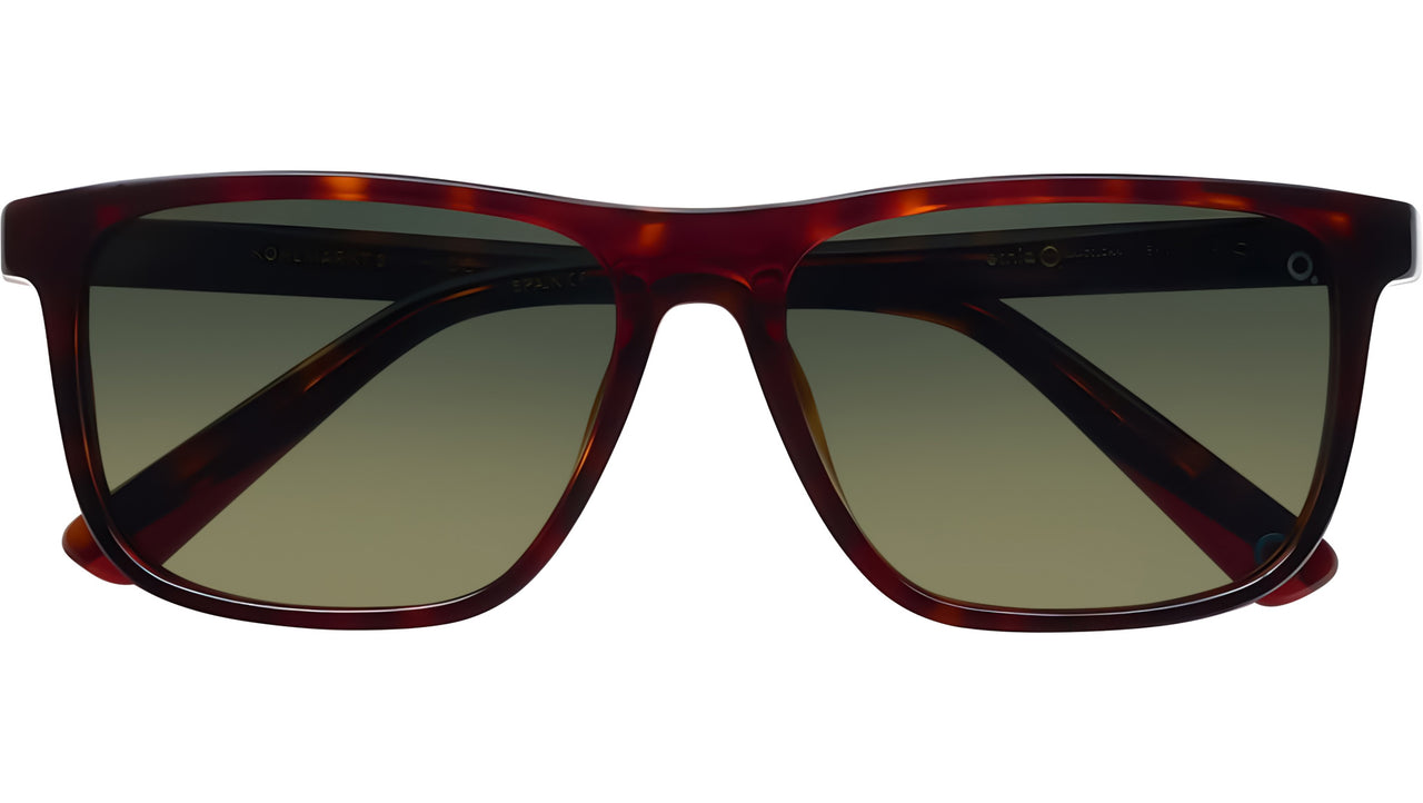 KOHLMARKT HVOG Tortoise