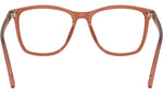 RB5455 Optics 8511