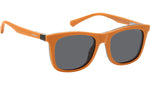 PLD 8055/CS L9G M9