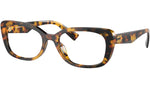 MU 07VV VAU1O1 Tortoise