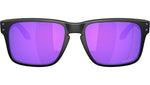Holbrook S OO9509 06