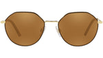 DG 2271 13446H brown