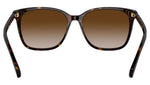 RA5293 50033B Dark Havana