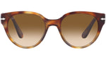 PO3287S 115851 Grey Havana