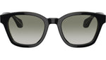 AR 8207 60873M Black Green