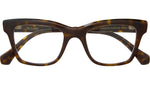 Lolita C Tortoise