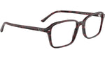 Raimond Optics RB5431 8393