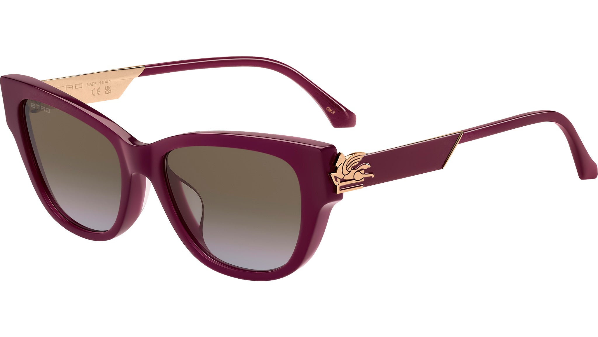 Etro エトロ サングラス ETRO 0063/F/S LHF67 Burgundy Etro 0063/F/S LHF 67 Sunglasses Burgundy - eye-oo.com