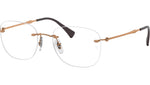 RB8748 Optics 1131