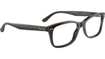 RB5428 Optics 8299