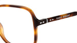 IM 0063 086 Tortoise