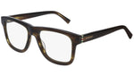 GG0453O 004 brown tortoise