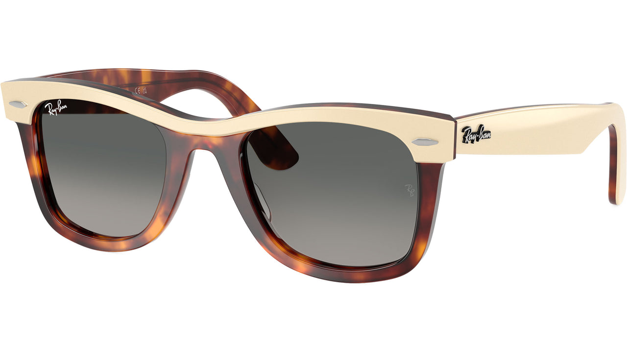 Wayfarer RB2240 144371