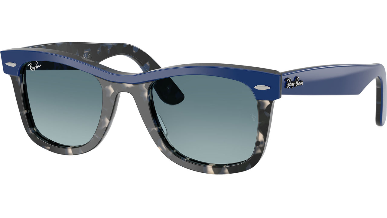 Wayfarer RB2240 14453M