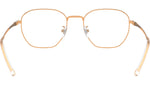RB8777D Optics 1248