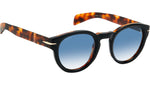 DB 7041/S WR7 F9 Black Havana