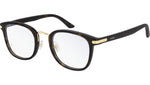 CT0146O 002 gold havana