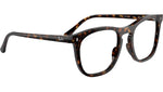 RB2210V Optics 2012