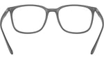 RB7199 Optics 5521