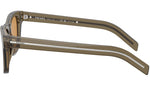 PR A17S 18T60F Earth