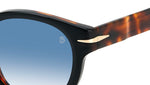 DB 7041/S WR7 F9 Black Havana