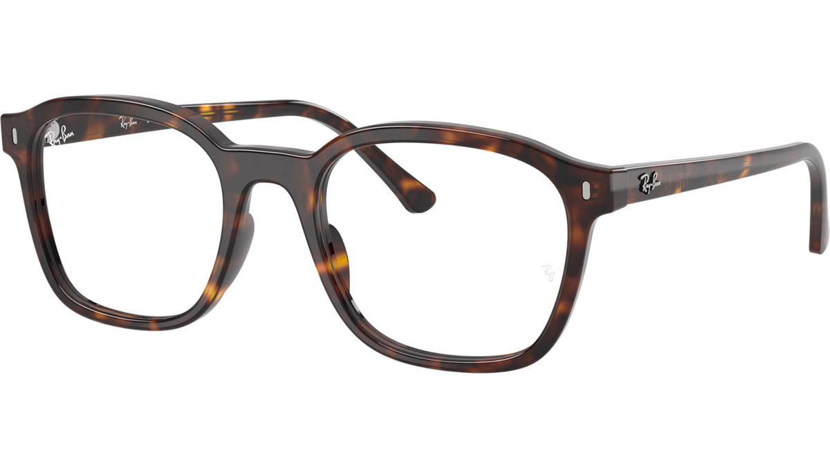 RB5460 Optics 2012