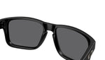Holbrook S OO9509 01
