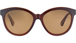 Endee SS573 002 Brown