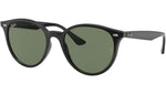 RB4305 601/71 black